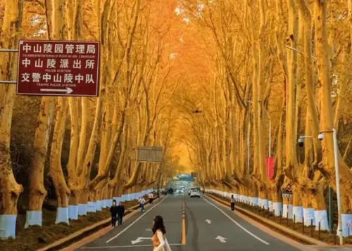 Du lịch Trung Quốc: Nam Kinh - Ô Trấn - Thượng Hải 2025