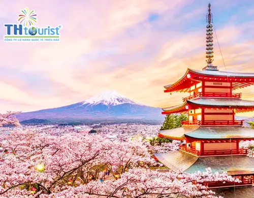 DU LỊCH NHẬT BẢN: NARITA - TOKYO - YAMANASHI - YOKKAICHI (TẾT 2025) 