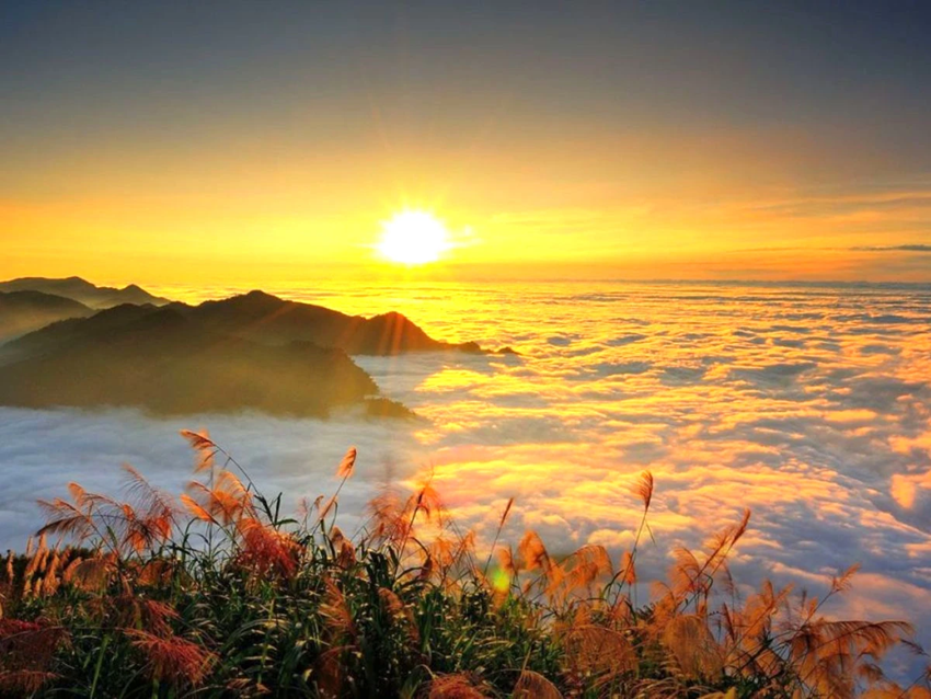 Rừng Thần Thánh A Lý Sơn – Hành trình khám phá khu rừng linh thiêng và cây thần ngàn năm Alishan  2025 