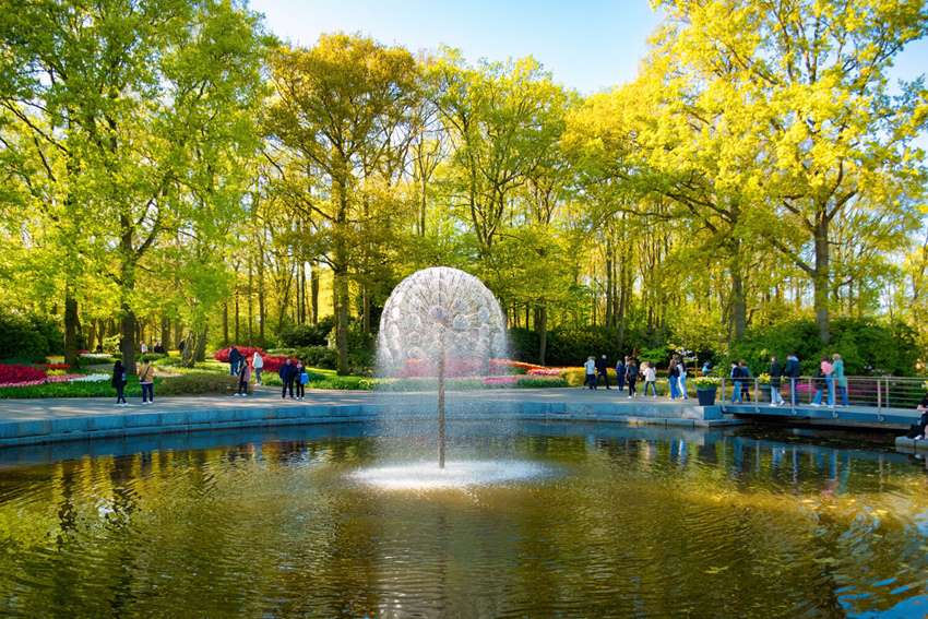 Công viên Keukenhof mùa thu – Vườn hoa rực rỡ giữa lòng Hà Lan