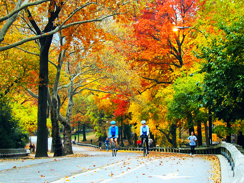 Top 7 thành phố lãng mạn Mỹ mùa thu – Điểm đến ngọt ngào cho chuyến du lịch Mỹ đáng nhớ